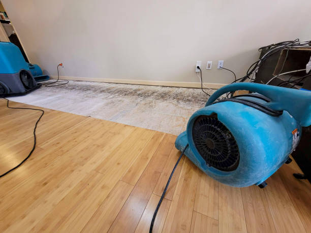 Professional Flood Damage Cleanup technician working in Macatawa, MI